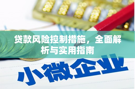瀍河贷款风险控制措施，全面解析与实用指南