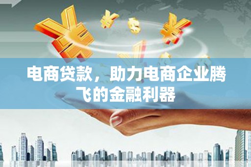 瀍河电商贷款，助力电商企业腾飞的金融利器