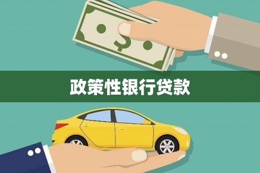 瀍河政策性银行贷款