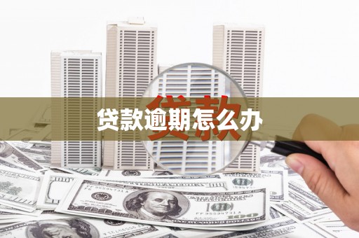 瀍河贷款逾期怎么办
