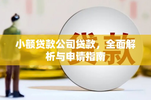 瀍河小额贷款公司贷款，全面解析与申请指南