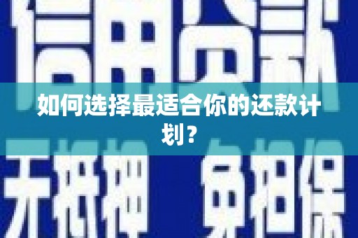 瀍河如何选择最适合你的还款计划？