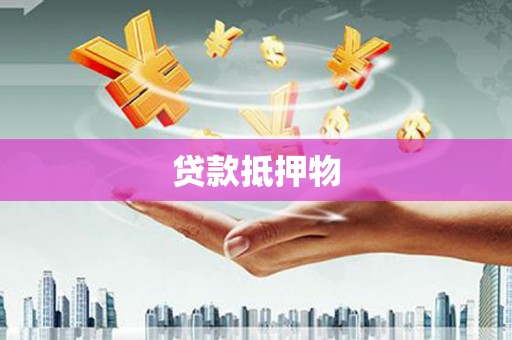 瀍河贷款抵押物