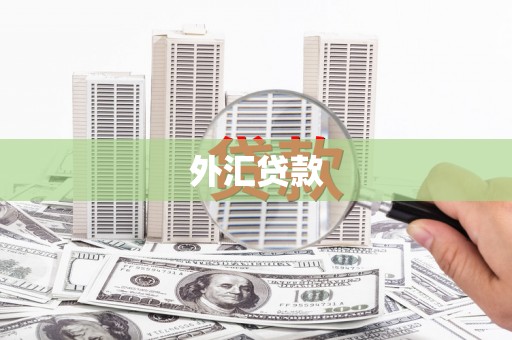 瀍河外汇贷款