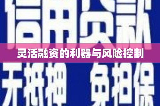 瀍河灵活融资的利器与风险控制