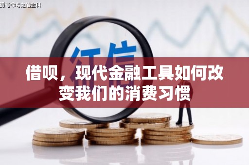 瀍河借呗，现代金融工具如何改变我们的消费习惯