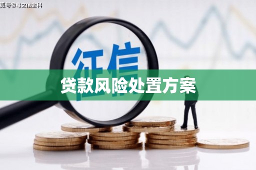 瀍河贷款风险处置方案