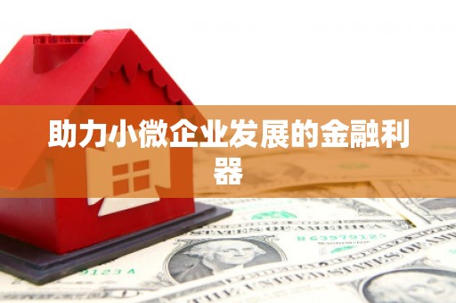 瀍河助力小微企业发展的金融利器