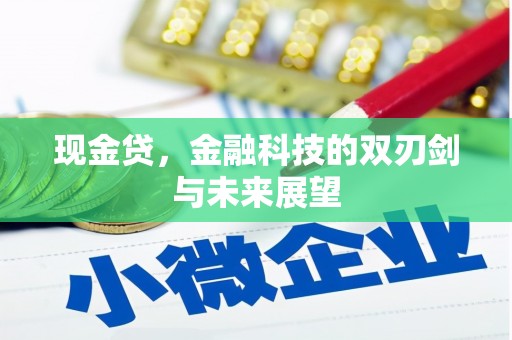 瀍河现金贷，金融科技的双刃剑与未来展望