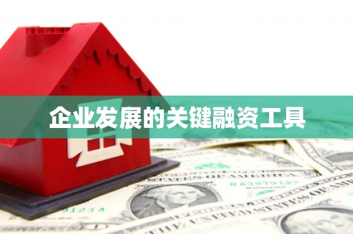 瀍河企业发展的关键融资工具