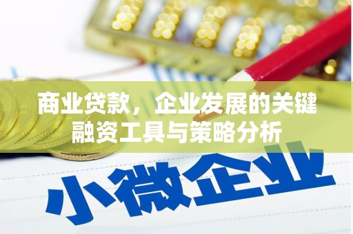 瀍河商业贷款，企业发展的关键融资工具与策略分析