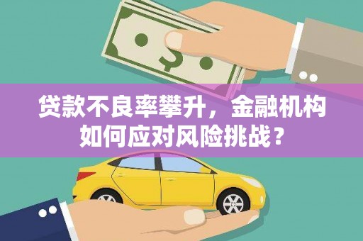 瀍河贷款不良率攀升，金融机构如何应对风险挑战？