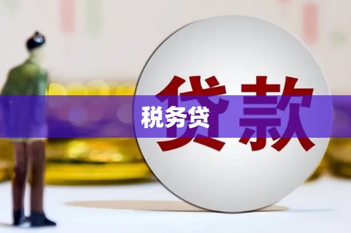 瀍河税务贷