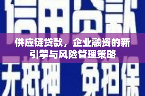 瀍河供应链贷款，企业融资的新引擎与风险管理策略