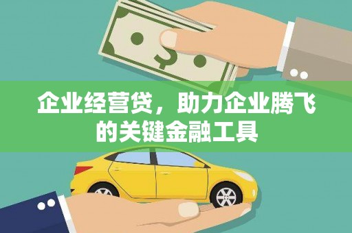 瀍河企业经营贷，助力企业腾飞的关键金融工具