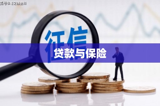 瀍河贷款与保险