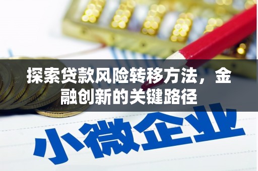 瀍河探索贷款风险转移方法，金融创新的关键路径