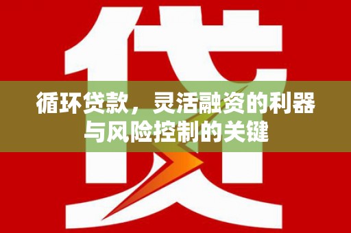 瀍河循环贷款，灵活融资的利器与风险控制的关键