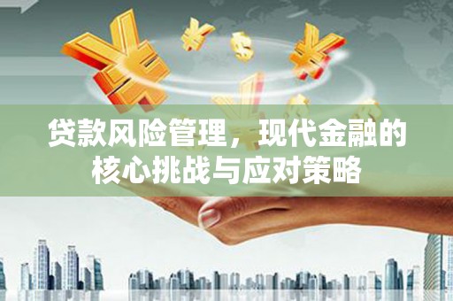 瀍河贷款风险管理，现代金融的核心挑战与应对策略