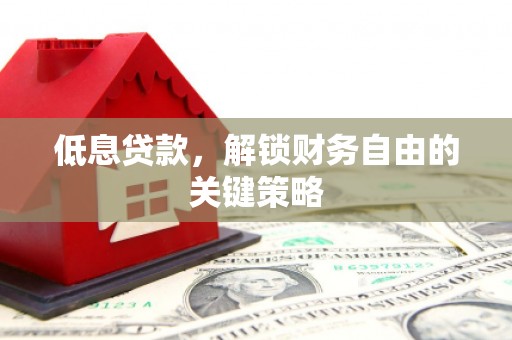 瀍河低息贷款，解锁财务自由的关键策略