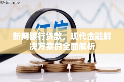 瀍河新网银行贷款，现代金融解决方案的全面解析
