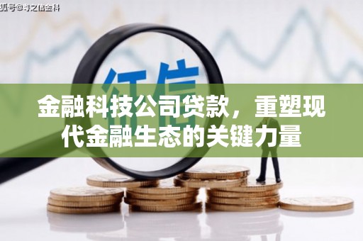 瀍河金融科技公司贷款，重塑现代金融生态的关键力量
