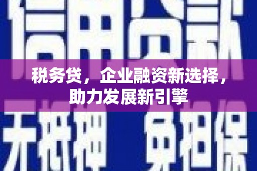 瀍河税务贷，企业融资新选择，助力发展新引擎