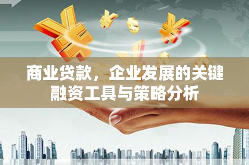 瀍河商业贷款，企业发展的关键融资工具与策略分析