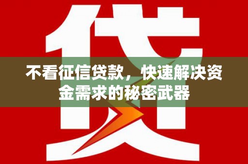瀍河不看征信贷款，快速解决资金需求的秘密武器