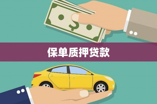瀍河保单质押贷款