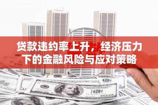 瀍河贷款违约率上升，经济压力下的金融风险与应对策略