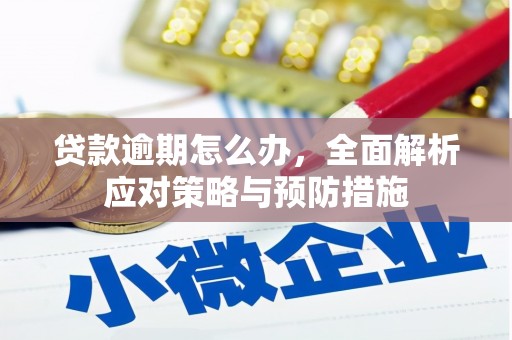 瀍河贷款逾期怎么办，全面解析应对策略与预防措施