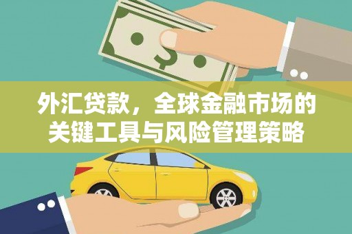 瀍河外汇贷款，全球金融市场的关键工具与风险管理策略