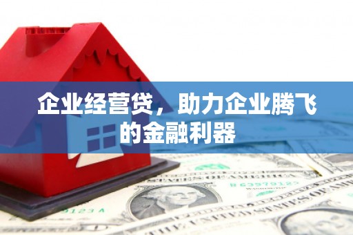 瀍河企业经营贷，助力企业腾飞的金融利器