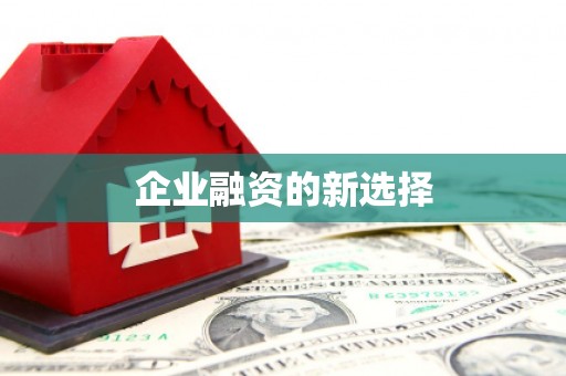 瀍河企业融资的新选择