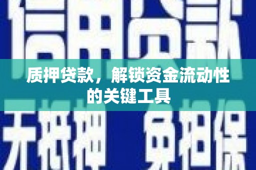 瀍河质押贷款，解锁资金流动性的关键工具