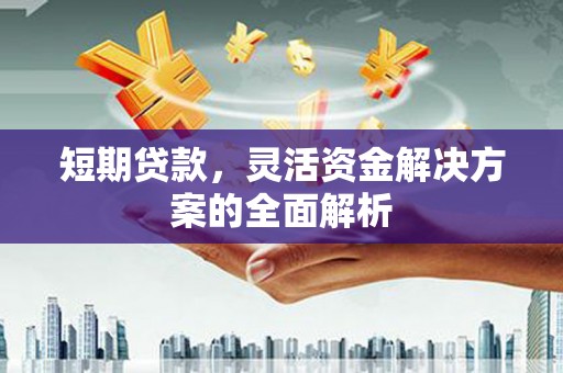瀍河短期贷款，灵活资金解决方案的全面解析