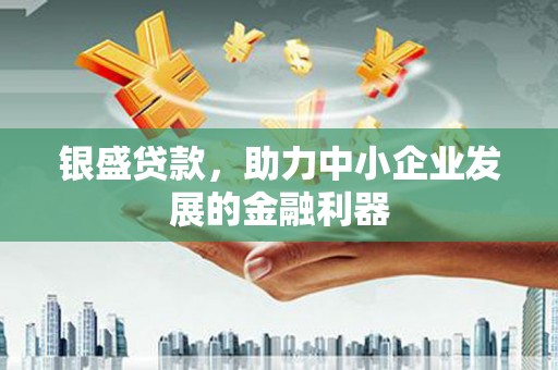瀍河银盛贷款，助力中小企业发展的金融利器