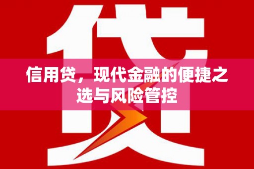 瀍河信用贷，现代金融的便捷之选与风险管控