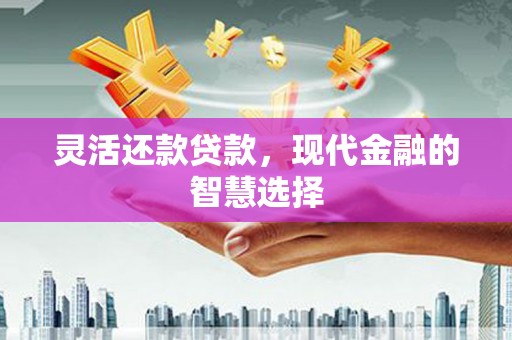 瀍河灵活还款贷款，现代金融的智慧选择