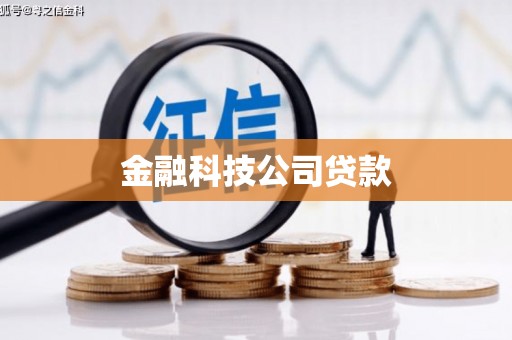 瀍河金融科技公司贷款