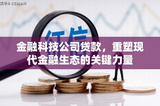 瀍河金融科技公司贷款，重塑现代金融生态的关键力量