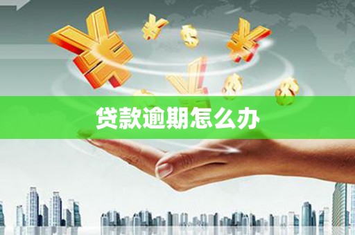瀍河贷款逾期怎么办
