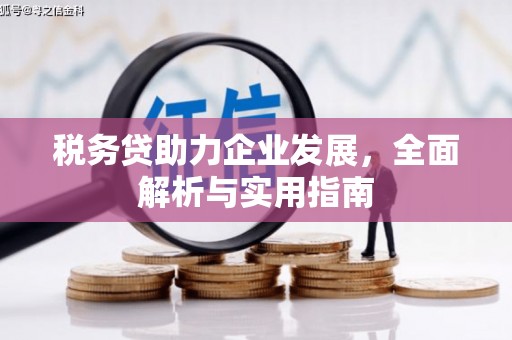 瀍河税务贷助力企业发展，全面解析与实用指南