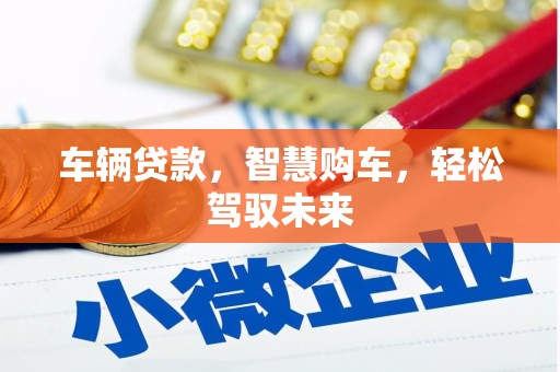 瀍河车辆贷款，智慧购车，轻松驾驭未来