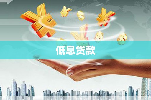 瀍河低息贷款