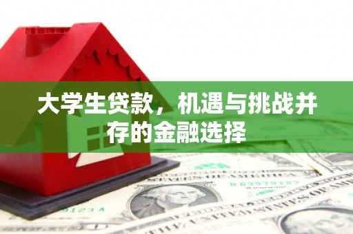 瀍河大学生贷款，机遇与挑战并存的金融选择