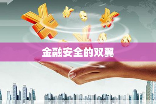 瀍河金融安全的双翼