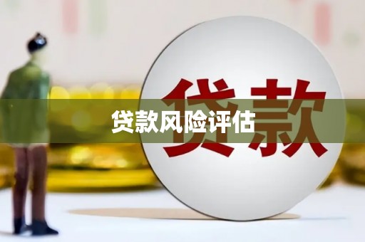瀍河贷款风险评估