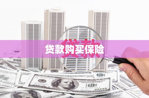 瀍河贷款购买保险